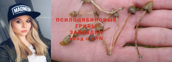 apvp Тутаев